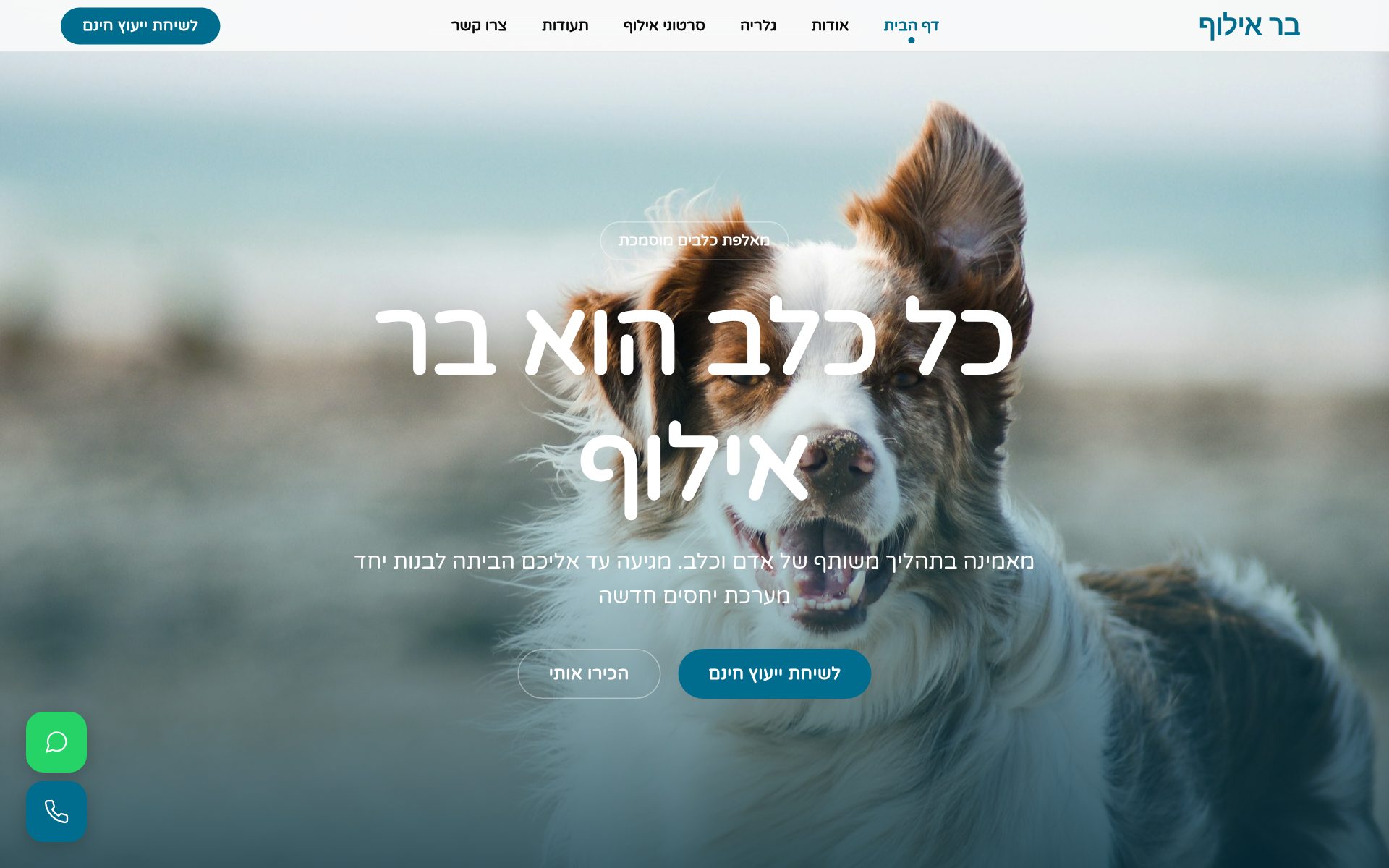 בר אילוף - תהליך של אדם וכלב