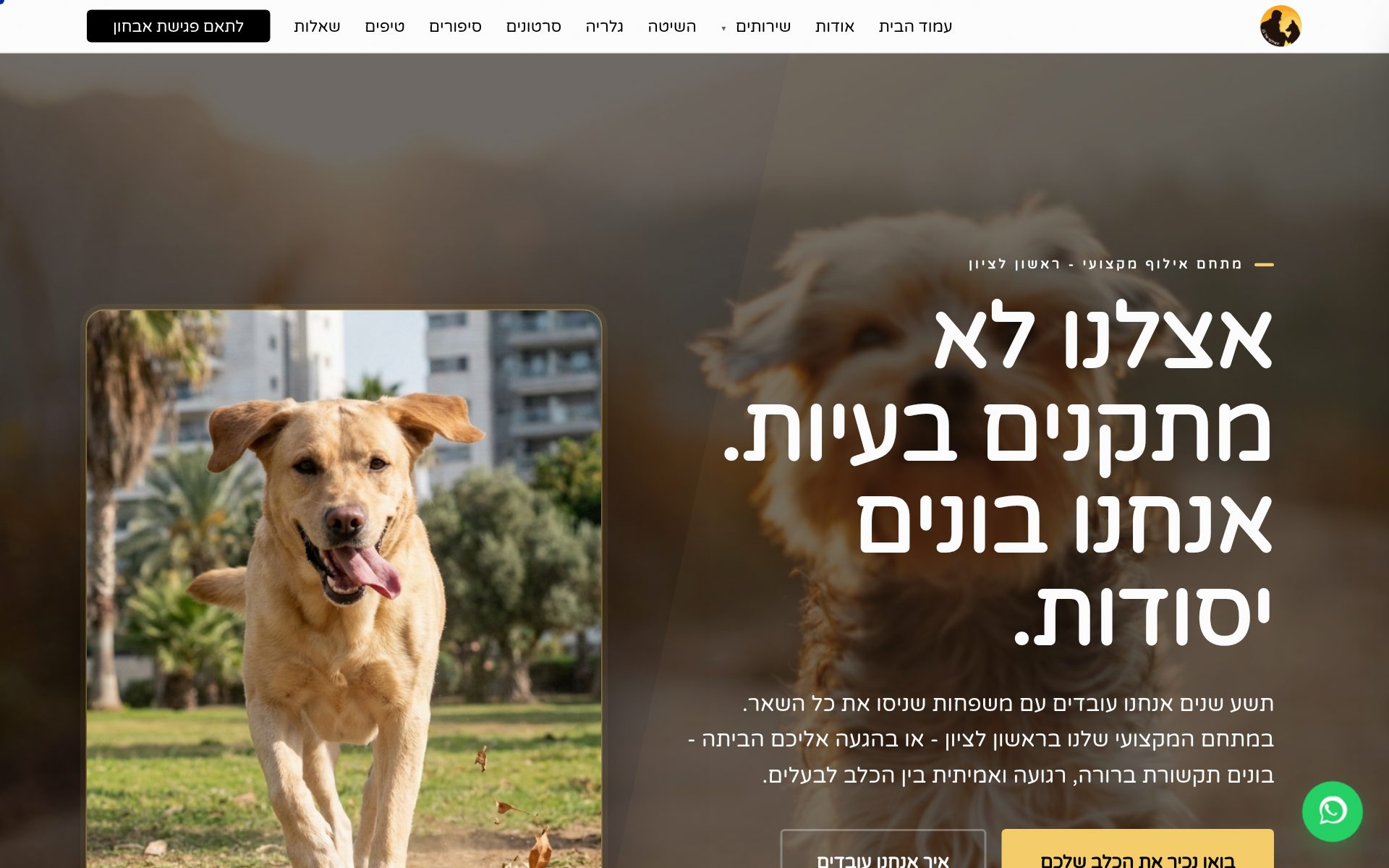 האילוף של בן