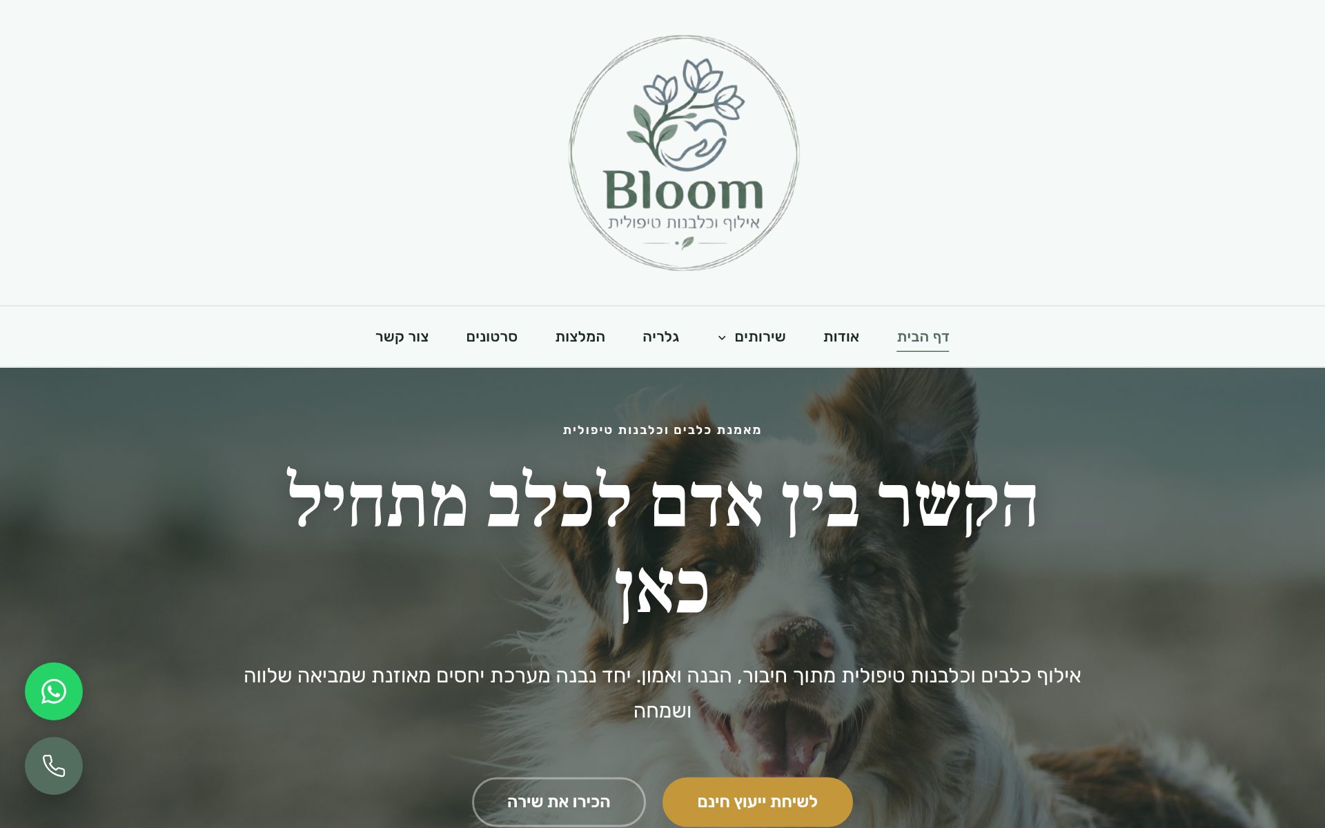 Bloom Dog Training