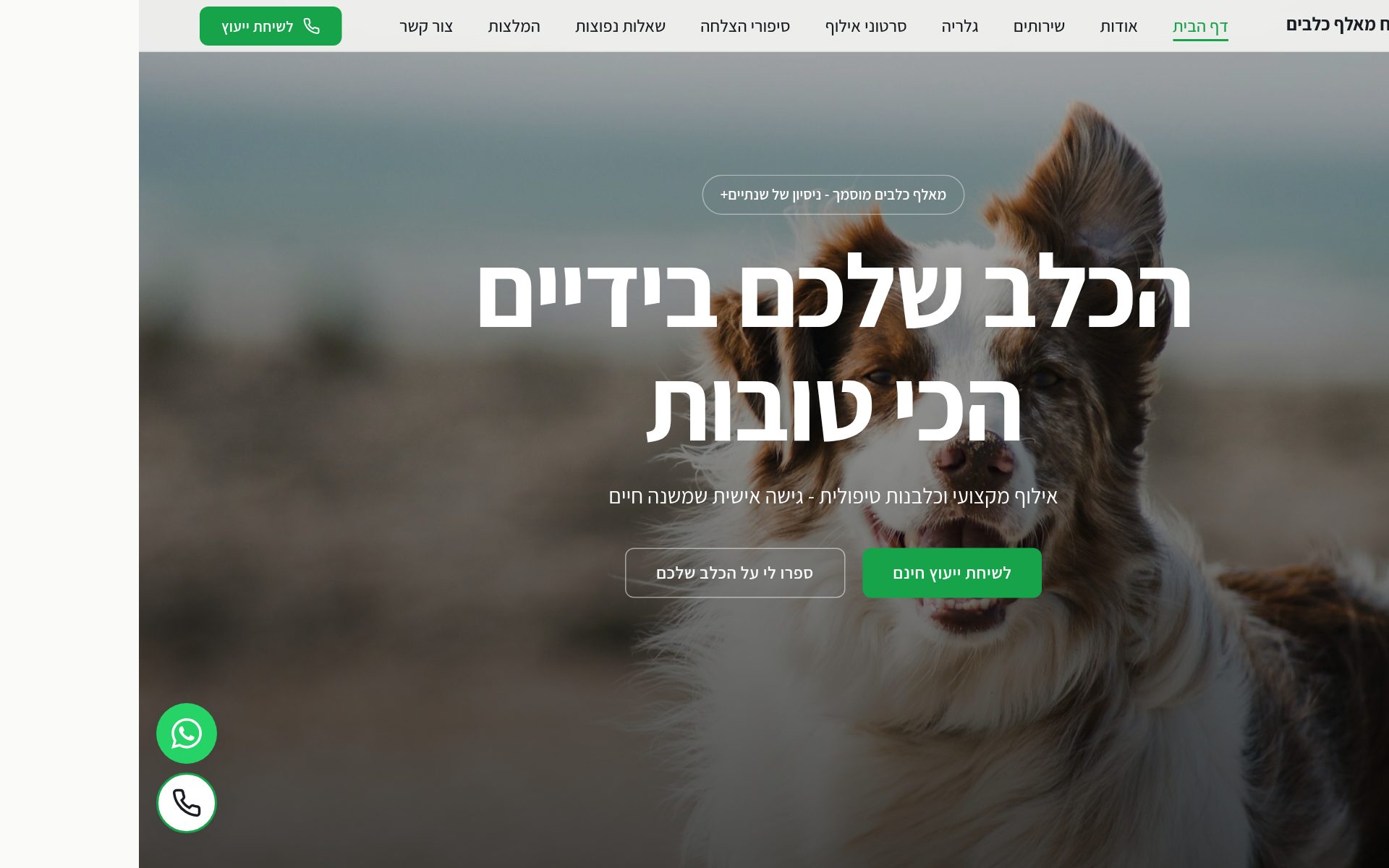דניאל פלח - מאלף כלבים וכלבן טיפולי