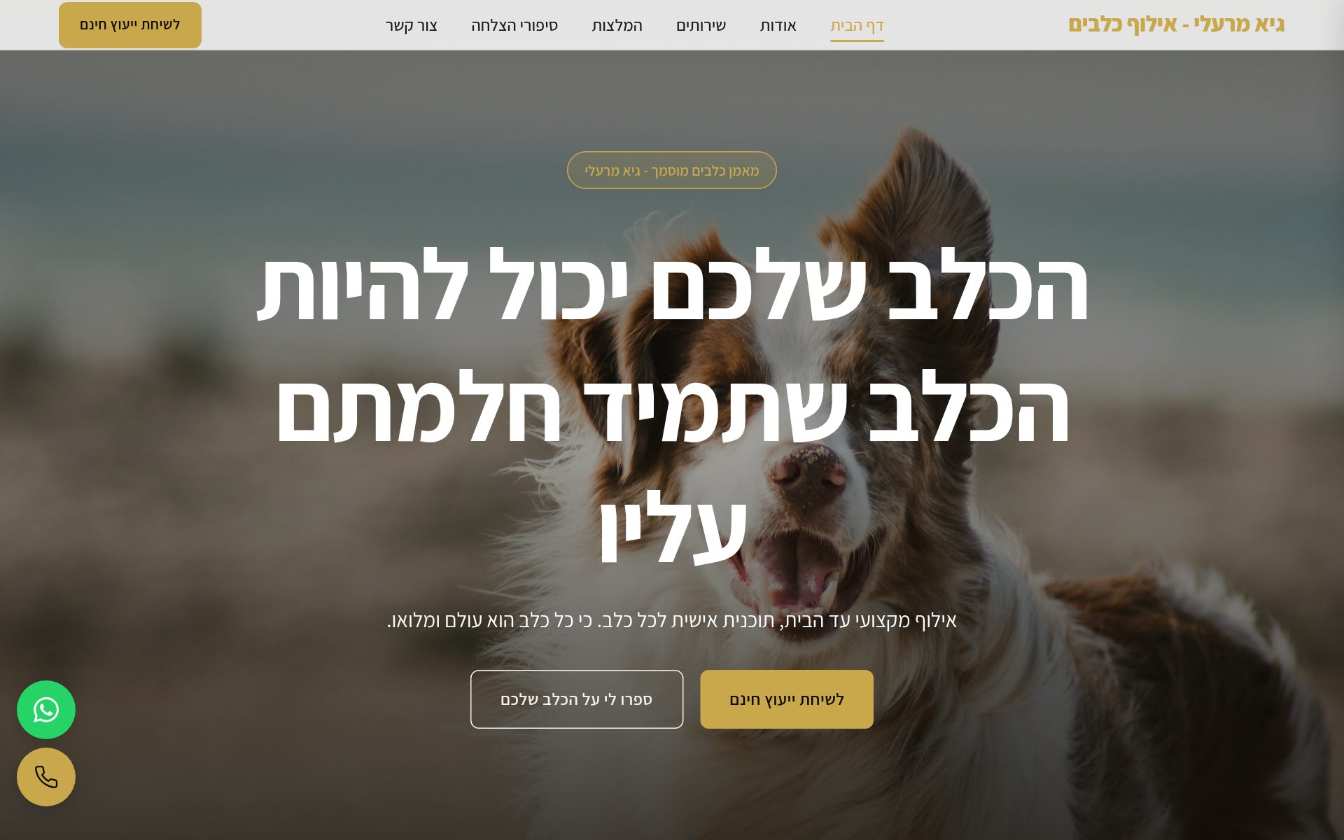 גיא מרעלי - אילוף כלבים