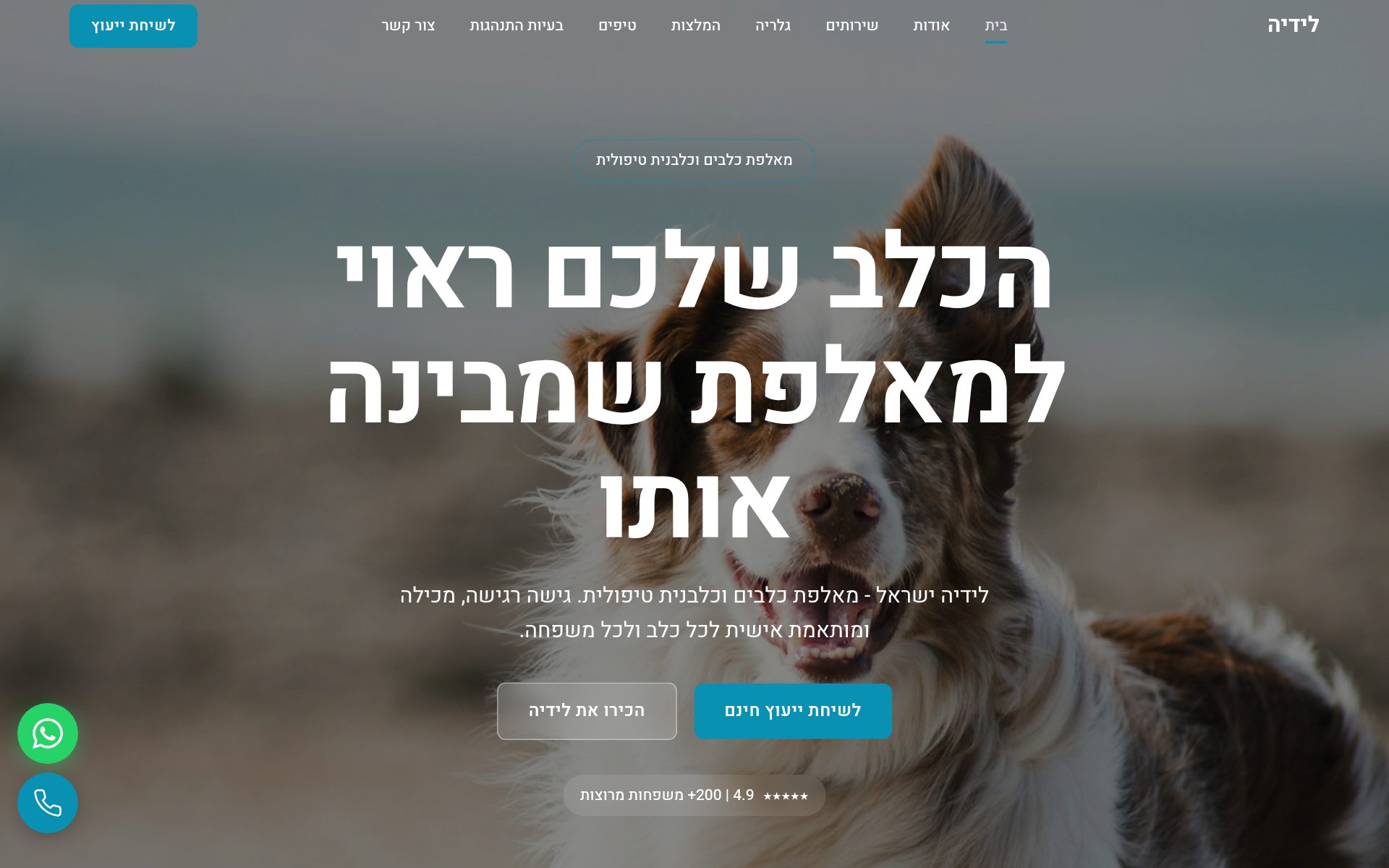 לידיה ישראל - מאלפת כלבים