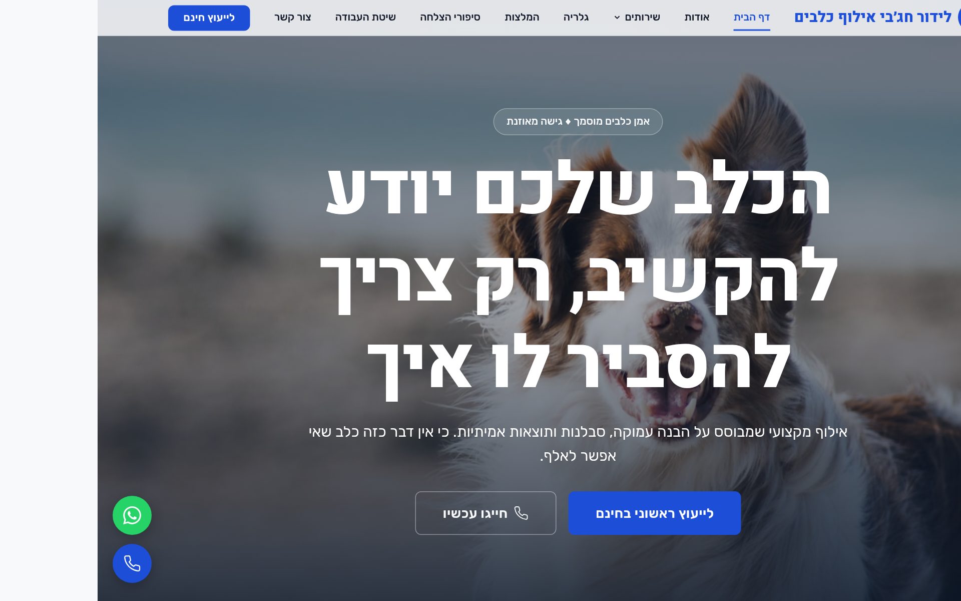 לידור - אילוף כלבים